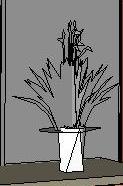 Potted Plant